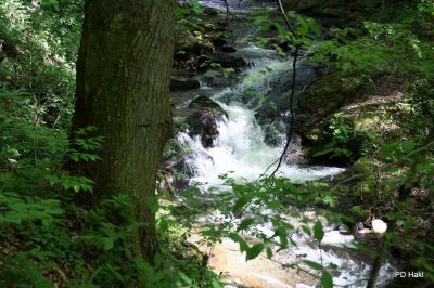 Potok Bistrica nas spremlja vso pot. Lahko si ogledamo brzice, gremo čez most in se pri tem ne moremo zgubiti saj sledimo poti. 

