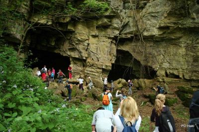 Na poti smo prečkali tudi brvi, ki so bile marsikomu izziv …


