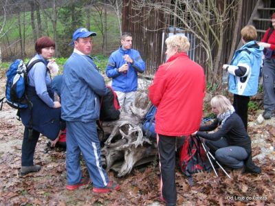 Ključne besede: litije