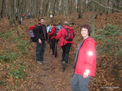 Ključne besede: litije