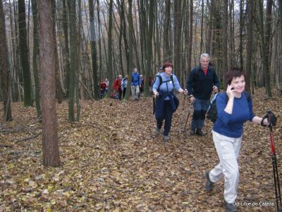 Ključne besede: litije