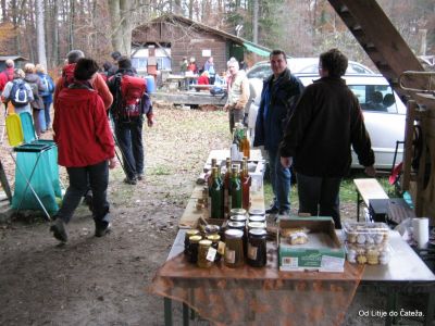 Ključne besede: litije