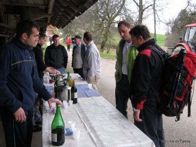 Ključne besede: litije