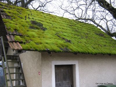 Ključne besede: litije