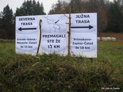 Ključne besede: litije