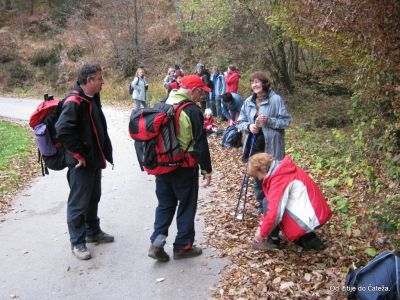 Ključne besede: litije