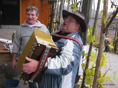 Ključne besede: litije