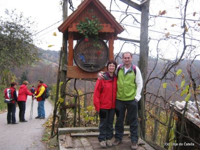 Ključne besede: litije