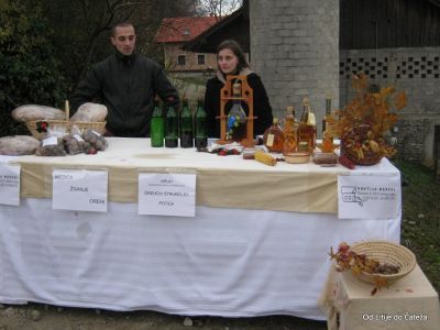 Ključne besede: litije