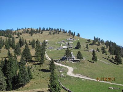 Branko_Druzovec_Velika_Planina_2011-7.JPG
