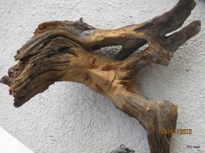 Cvetka_Vargazon_Dolomiti_Dizzgrazi_2012-007.JPG