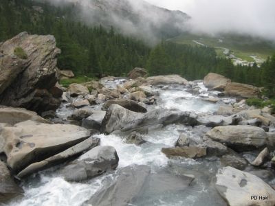 Cvetka_Vargazon_Dolomiti_Dizzgrazi_2012-082.JPG
