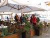 Cvetka_Vargazon_Dolomiti_Dizzgrazi_2012-118.JPG