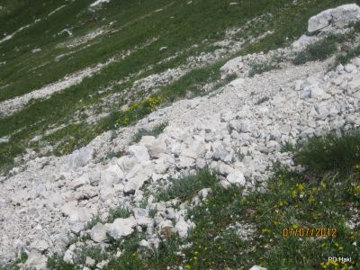 Cvetka_Vargazon_Montaz_Mangrt_2012-019.JPG