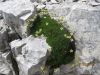 Cvetka_Vargazon_Montaz_Mangrt_2012-053.JPG