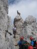 Cvetka_Vargazon_Montaz_Mangrt_2012-059.JPG
