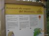 Cvetka_Vargazon_Montaz_Mangrt_2012-080.JPG