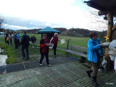 D_Lipic_Piknik_PD_Hakl_in_SD_Zgornji_Porcic_6_11_2016-012.JPG
