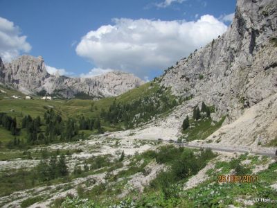 111.jpg