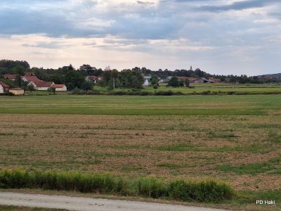 Drago_Lipic_-_Planinski_Tabor_2026_-_dan_2_-_25_Avgust-018.jpg