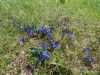 Drago_Lipic_Blegos_2017-042.JPG