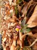Drago_Lipic_Boc_2018-003.JPG