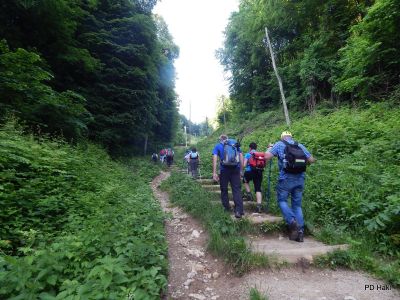 Drago_Lipic_Celjska_Grmada_2018-006.JPG