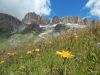 Drago_Lipic_Dolomiti_Pizboe_2017-002.JPG