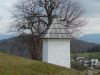 Drago_Lipic_Golcaj_Limbarska_gora_2021-030.JPG