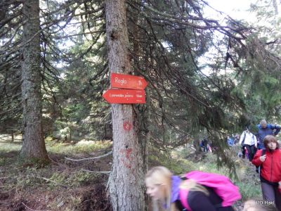 Drago_Lipic_Pohod_Lovrenska_Jezera_OS_Benedikt_2013-010.JPG