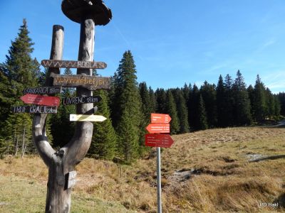 Drago_Lipic_Pohod_Lovrenska_Jezera_OS_Benedikt_2013-033.JPG
