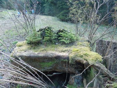 Drago_Lipic_Mladi_na_Urslji_gori_2017-003.JPG