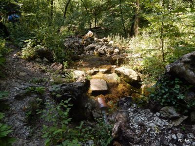 Drago_LipicPlanina_nad_Vrhniko_2021-014.JPG