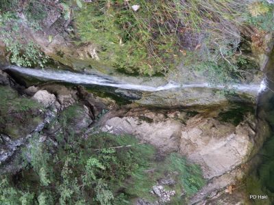Drago_LipicPlanina_nad_Vrhniko_2021-117.JPG
