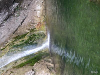Drago_LipicPlanina_nad_Vrhniko_2021-122.JPG