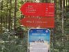 Drago_LipicPlanina_nad_Vrhniko_2021-033.JPG