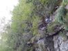 Drago_LipicPlanina_nad_Vrhniko_2021-061.JPG