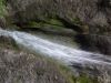 Drago_LipicPlanina_nad_Vrhniko_2021-078.JPG