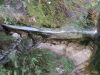 Drago_LipicPlanina_nad_Vrhniko_2021-117.JPG