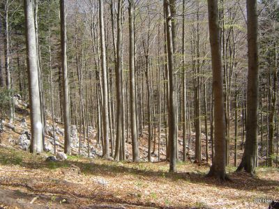 Pohod na Golake in Čaven 16-04-2044
