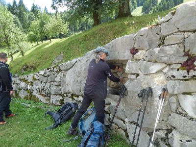 Drago_Lipic_Pohod_na_Javornik_2017-052.JPG