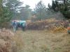 20-DSCN4983.JPG