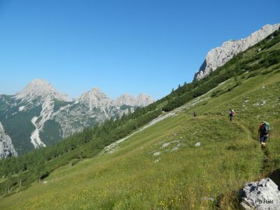 Drago_Lipic_Terza_Grande_2015-064.JPG