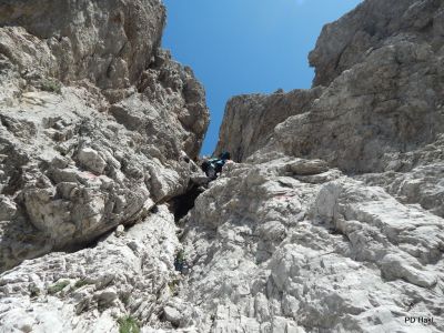 Drago_Lipic_Terza_Grande_2015-072.JPG