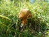 DSCN3805.JPG