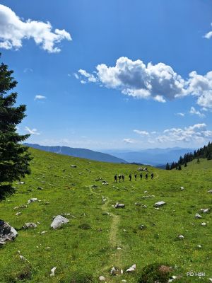 Drago_Lipic_Veliki_Vrh_in_Veliko_Kladivo_2023-022.jpg