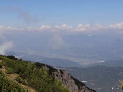 Fistravec_Dobrac_2013-023.JPG