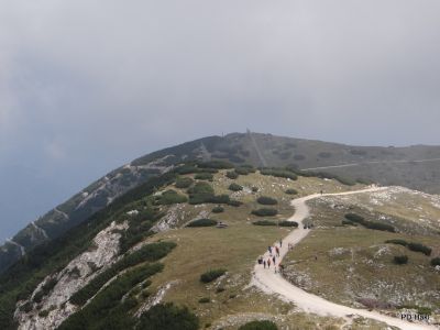 Fistravec_Dobrac_2013-029.JPG