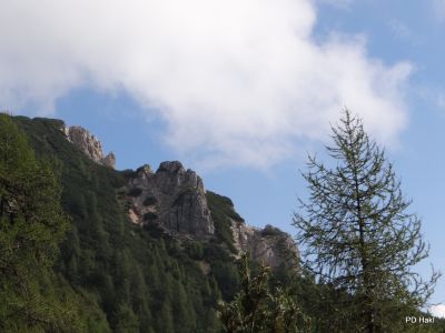 Fistravec_Dobrac_2013-073.JPG