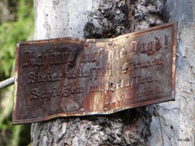 Fistravec_Dobrac_2013-077.JPG